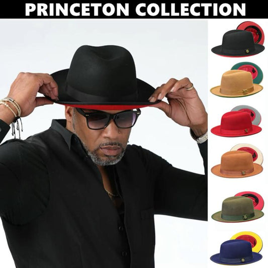 🌟 Princeton Collection-🔥Buy 4 get 5th free! HATS